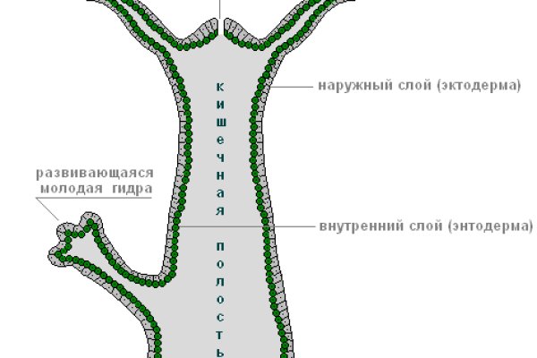 Кракен сайт вход kraken torion