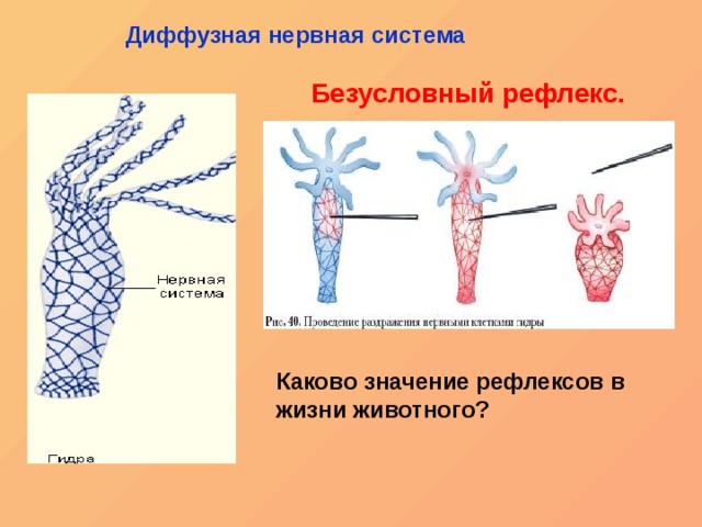 Кракен телегрф