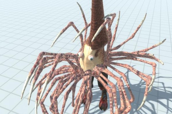Kraken что это за сайт