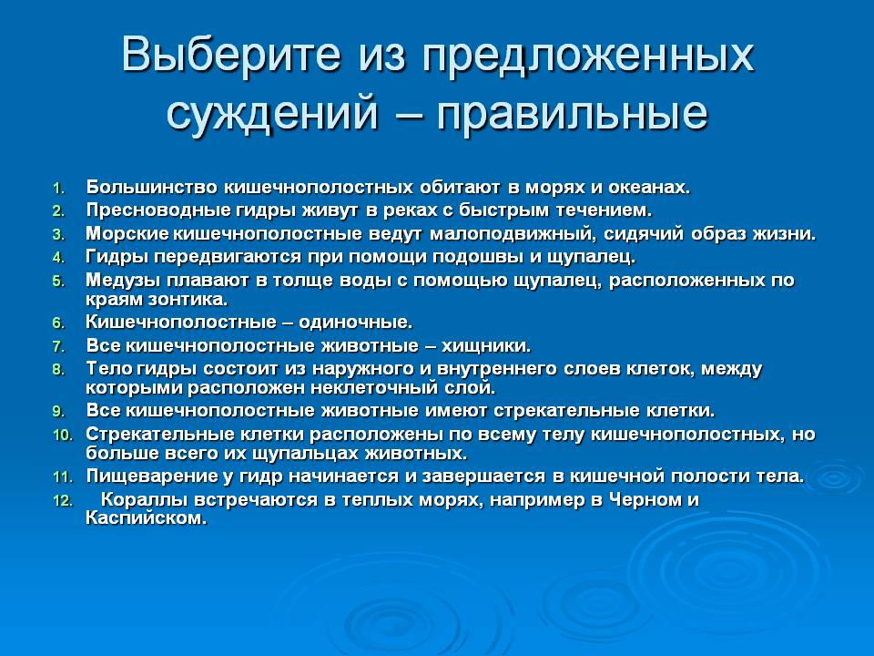 Кракен маркетплейс магазин